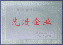 <b>先進(jìn)企業(yè)</b>